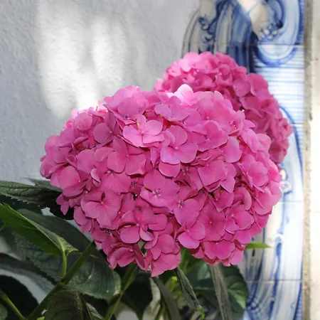 Holiday home Quinta Do Casal De Santo Antonio Alenquer