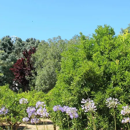 Quinta Do Casal De Santo Antonio Alenquer