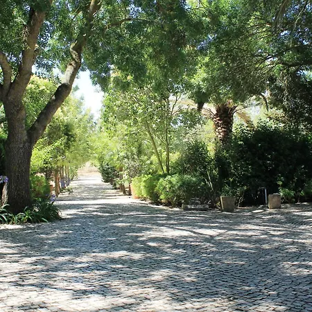 Quinta Do Casal De Santo Antonio