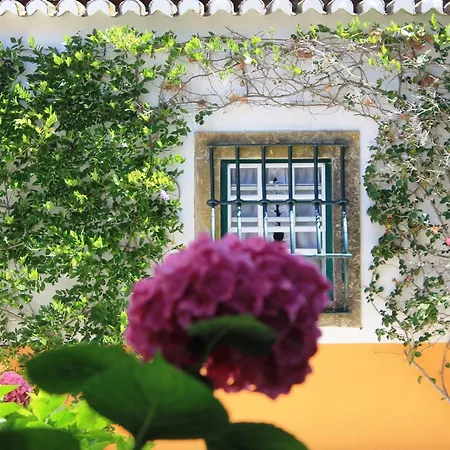 Quinta Do Casal De Santo Antonio Ferienhaus