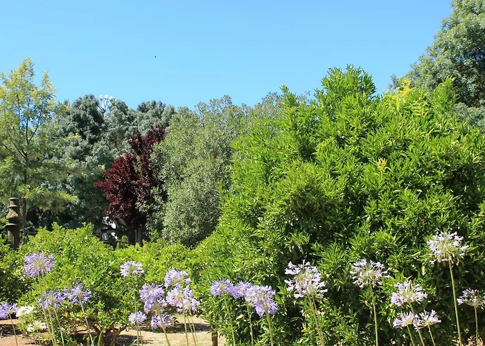 Quinta Do Casal De Santo Antonio Alenquer